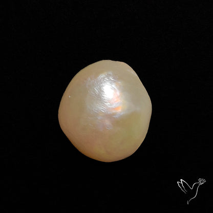Freshwater Pearl Cabochon