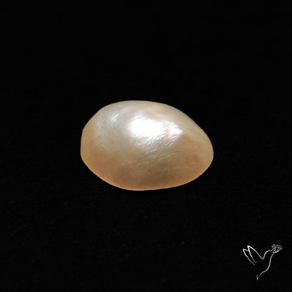 Freshwater Pearl Cabochon
