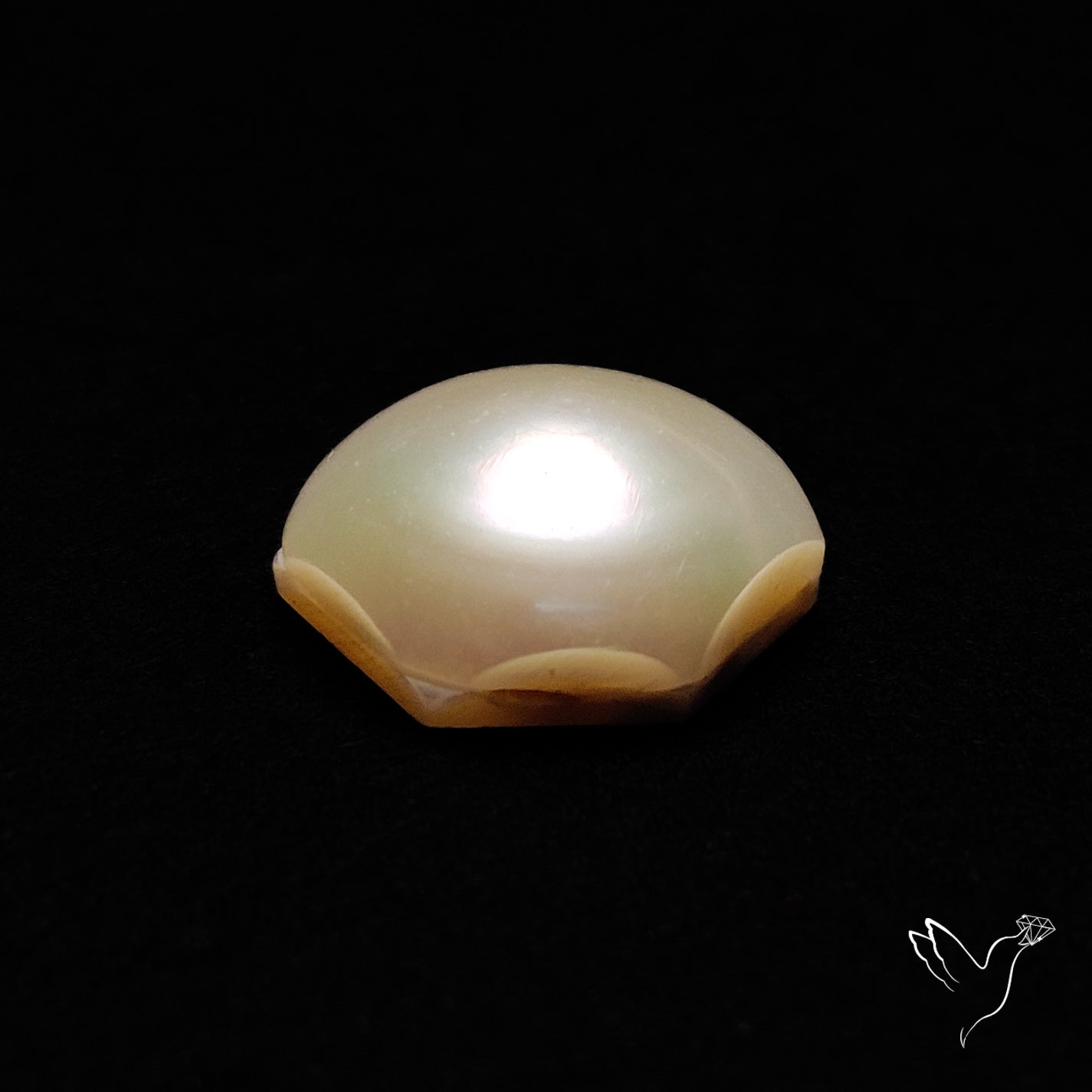 Freshwater Pearl Cabochon