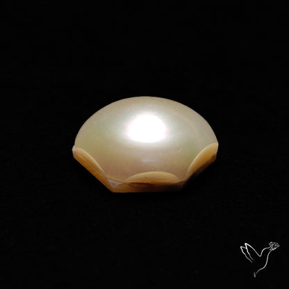 Freshwater Pearl Cabochon