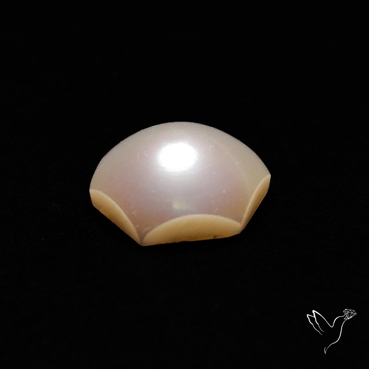 Freshwater Pearl Cabochon