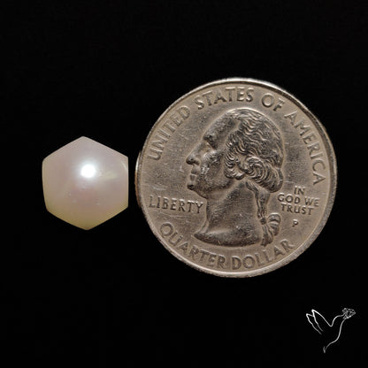 Freshwater Pearl Cabochon