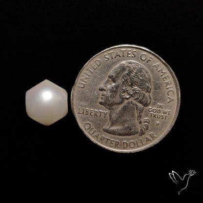 Freshwater Pearl Cabochon