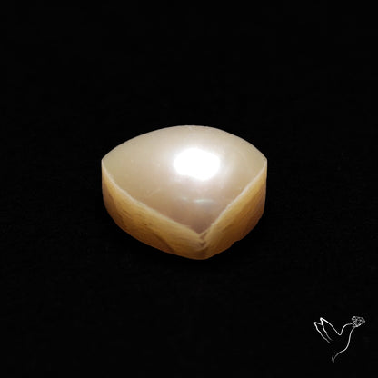 Freshwater Pearl Cabochon