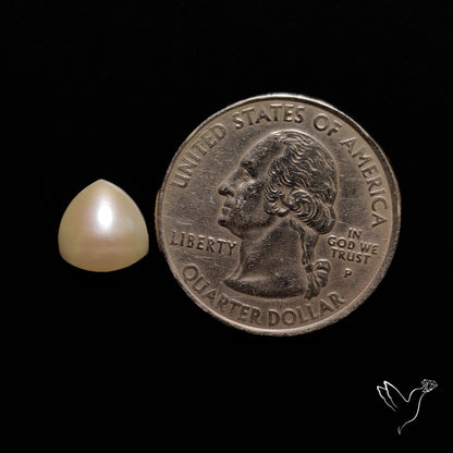 Freshwater Pearl Cabochon