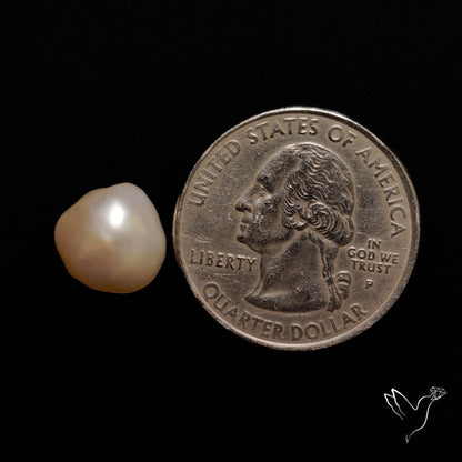 Freshwater Pearl Cabochon