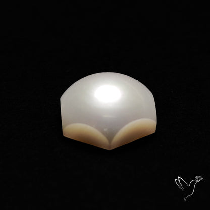 Freshwater Pearl Cabochon