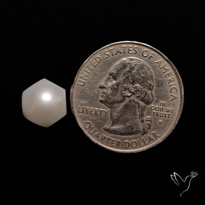 Freshwater Pearl Cabochon