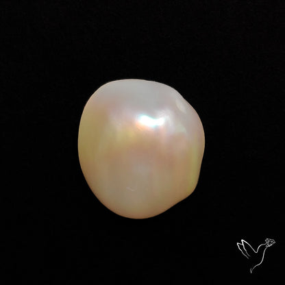 Freshwater Pearl Cabochon