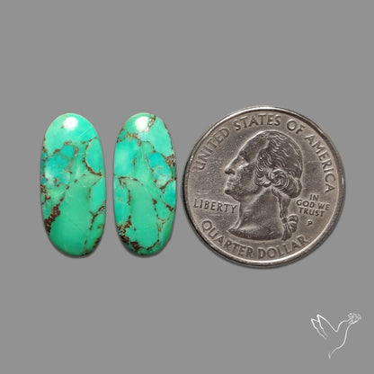 Green Mohave Turquoise Pair
