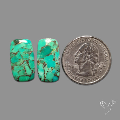 Green Mohave Turquoise Pair