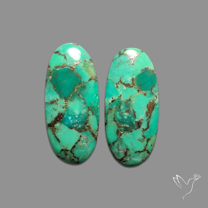 Green Mohave Turquoise Pair