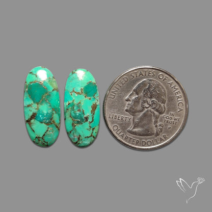 Green Mohave Turquoise Pair