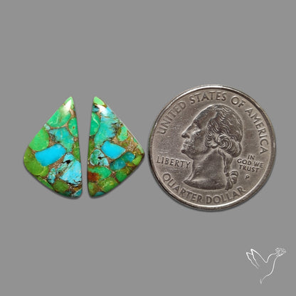 Green Mohave Turquoise Pair