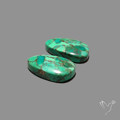 Green Mohave Turquoise Pair