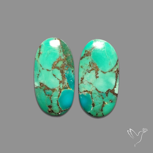 Green Mohave Turquoise Pair
