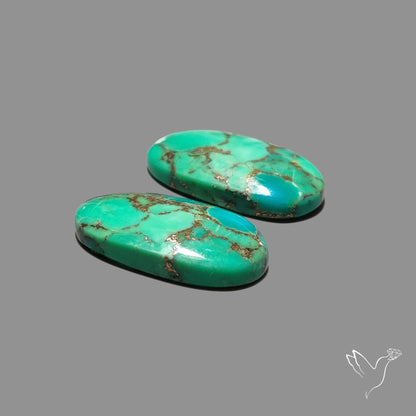 Green Mohave Turquoise Pair
