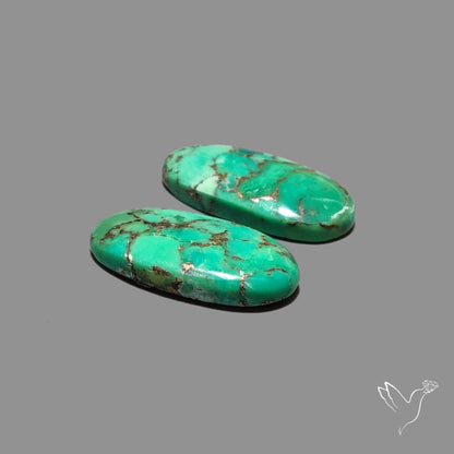 Green Mohave Turquoise Pair