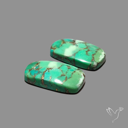 Green Mohave Turquoise Pair