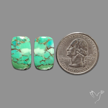 Green Mohave Turquoise Pair