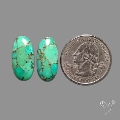 Green Mohave Turquoise Pair