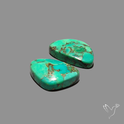 Green Mohave Turquoise Pair