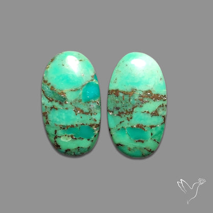 Green Mohave Turquoise Pair