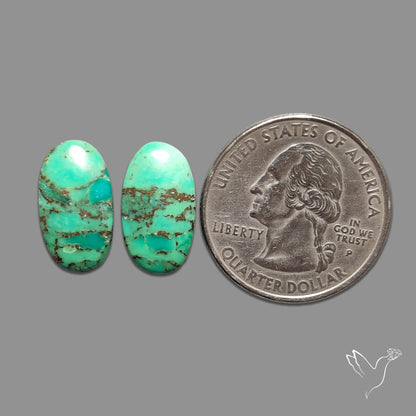 Green Mohave Turquoise Pair