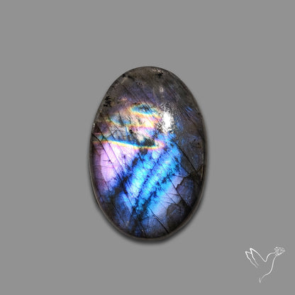 Finland Spectrolite Cabochon