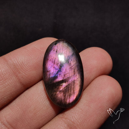 Finland Spectrolite Cabochon