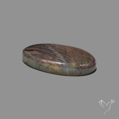 Finland Spectrolite Cabochon