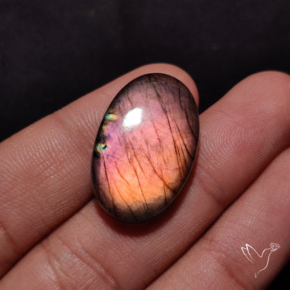Finland Spectrolite Cabochon