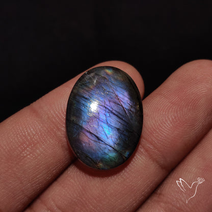 Finland Spectrolite Cabochon