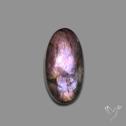 Finland Spectrolite Cabochon