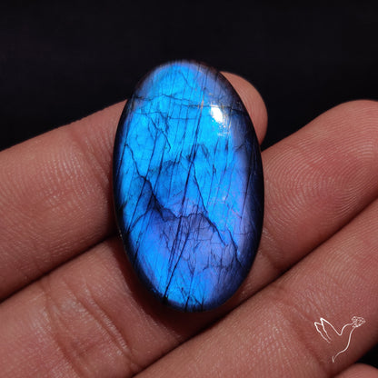 Finland Spectrolite Cabochon