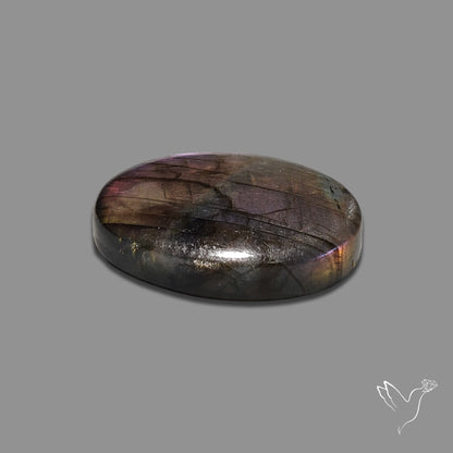 Finland Spectrolite Cabochon