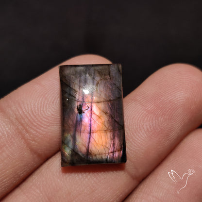 Finland Spectrolite Cabochon