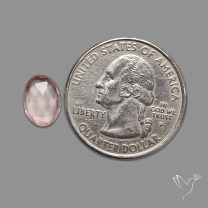 Rose Quartz Rose Cut Faceted