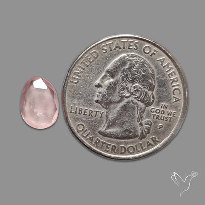Rose Quartz Rose Cut Faceted