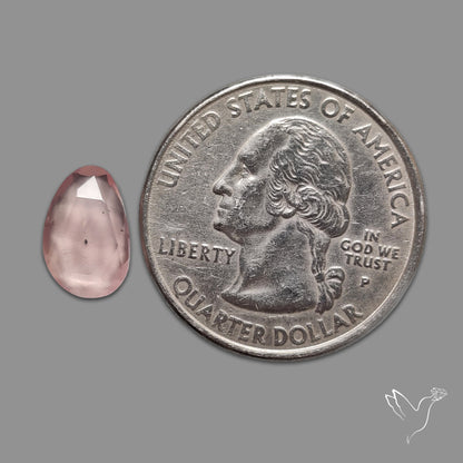 Rose Quartz Rose Cut Faceted