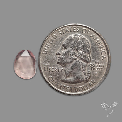 Rose Quartz Rose Cut Faceted