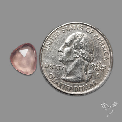 Rose Quartz Rose Cut Faceted