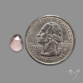 Rose Quartz Rose Cut Faceted