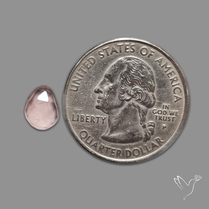 Rose Quartz Rose Cut Faceted