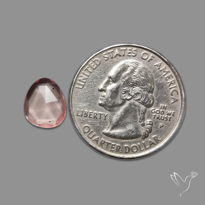 Rose Quartz Rose Cut Faceted