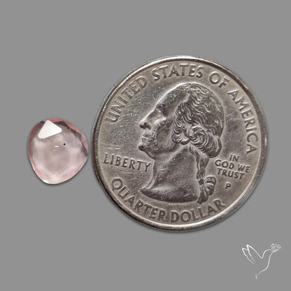 Rose Quartz Rose Cut Faceted