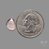 Rose Quartz Rose Cut Faceted