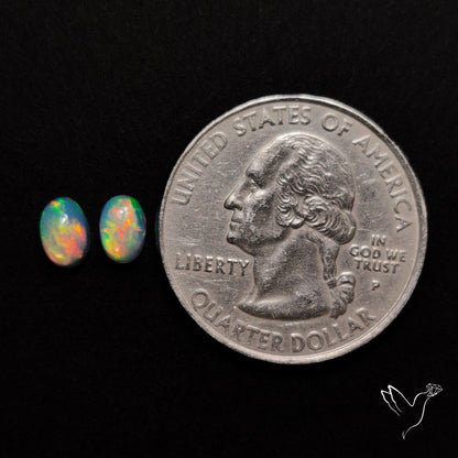 AAA Ethiopian Welo Opals Smalls Pair