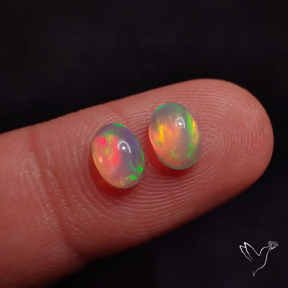 AAA Ethiopian Welo Opals Smalls Pair