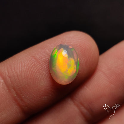 AAA Ethiopian Welo Opal Small
